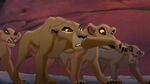 Lion-king2-disneyscreencaps.com-6664