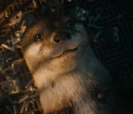 Lylla the Otter (Guardians of the Galaxy Vol. 3)