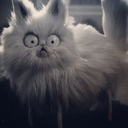 Frankenweenie Cat Mr. Whiskers. Needle Felted Cat. White Cat