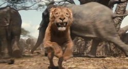 Mufasa in the midst of an elephant stampede.