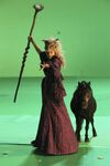Once Upon a Time - 1x02 - The Thing You Love Most - Production - Maleficent Unicorn