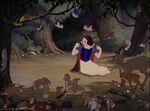 The Forest Animals are surprised by Snow White.