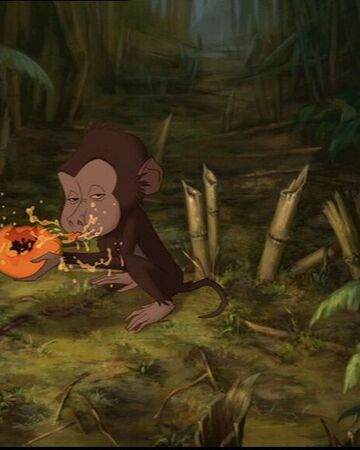 Baby Baboon Disney Wiki Fandom This is a.random sketch of disney's tarzan. baby baboon disney wiki fandom