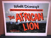 The african lion milotte original title lobby card