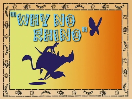 Why No Rhino