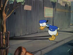 1940-donald-benevole-03