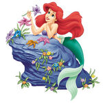 Ariel on rock