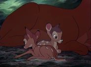 Bambi-disneyscreencaps.com-7914.jpg (164 КБ) Гено проснулся