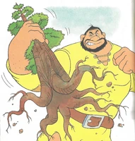 Oaioxde88.jpg (870 KB)