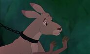 Rescuers-down-under-disneyscreencaps com-5943