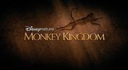 68 monkey kingdom