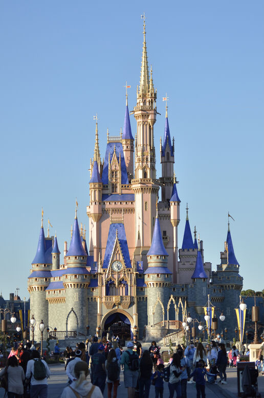 Cinderella Castle January 2021 Portrait