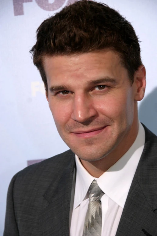 David Boreanaz Disney Wiki Fandom