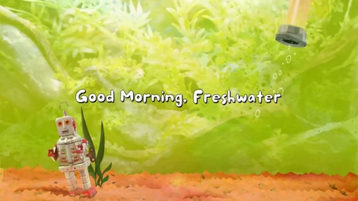 Good Morning Freshwater