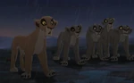 LIONKING2VitaniChangingOpinion.jpg (37 KB) Vitani realizes that Kiara is right that both prides are no different from each other