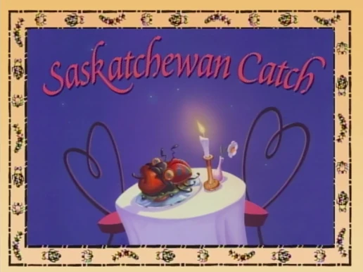 Saskatchewen Catch