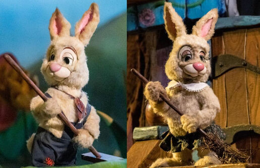 Splash Mountain Farming Rabbits