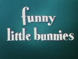 Funny Little Bunnies