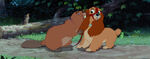 Lady-tramp-disneyscreencaps.com-4752