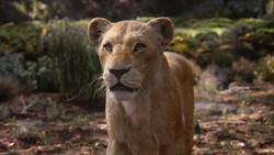 Nala (2019)