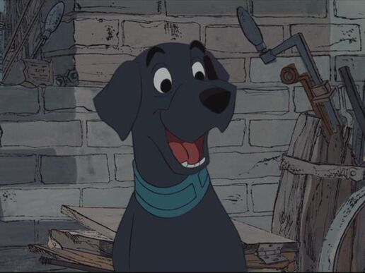 Perro