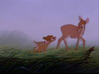 Bambi's mother and Bambi in the meadow