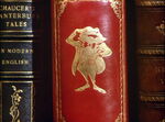 The Wind In The Willows' Book Spine