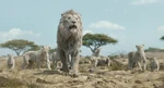 Mufasa-animationscreencaps.com-9010.jpg (340 KB)