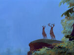 Young Adult Bambi with his father in the ending scene