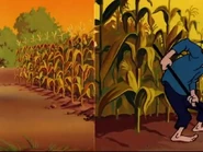 Cleanliness brings health splitscreen.jpg (72 KB)