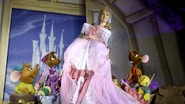 Disney Live-5.jpg (601 KB)
