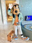 Goofy taking a vacation to Hawaii