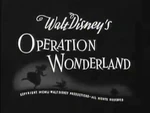 Operation Wonderland