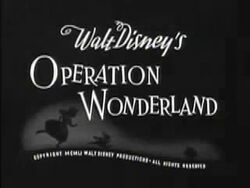 OperationWonderland3