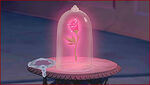 The Enchanted Rose