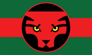The flag of Wakanda