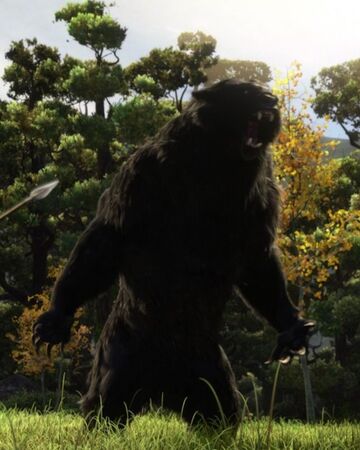 pic Human Bear Human Mor Du mor du disney wiki fandom