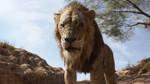 Chiwetel Ejiofor as Scar