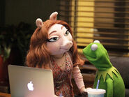 Denise and Kermit laptop