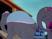 Mrs. Jumbo about to be pushed by an outraged Elephant Matriarch