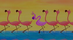 Yo Yo Flamingo, Disney Fanon Wiki