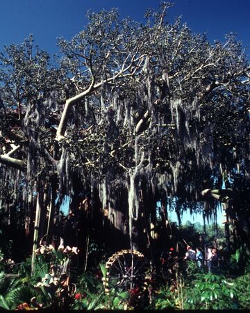 Swiss Family Treehouse Disney Wiki Fandom