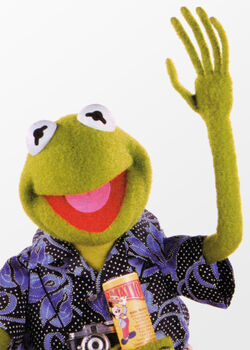 Kermit the Frog/Gallery | Disney Wiki | Fandom