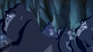 The gorillas afraid of Tublat, just like in the old days