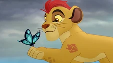 Kion helpt een vlinder
