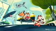Chip-n-dale-disney-original-1.jpg (172 KB)