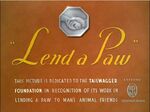 This picture is dedicated to the TailWaggers Foundation in recognition of its work in lending a paw to man's animal friends