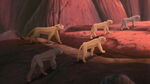 Lion-king2-disneyscreencaps.com-8790