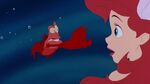 "Ariel, listen to me. The human world is amiss."