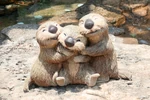 Otters at Tokyo DisneySea